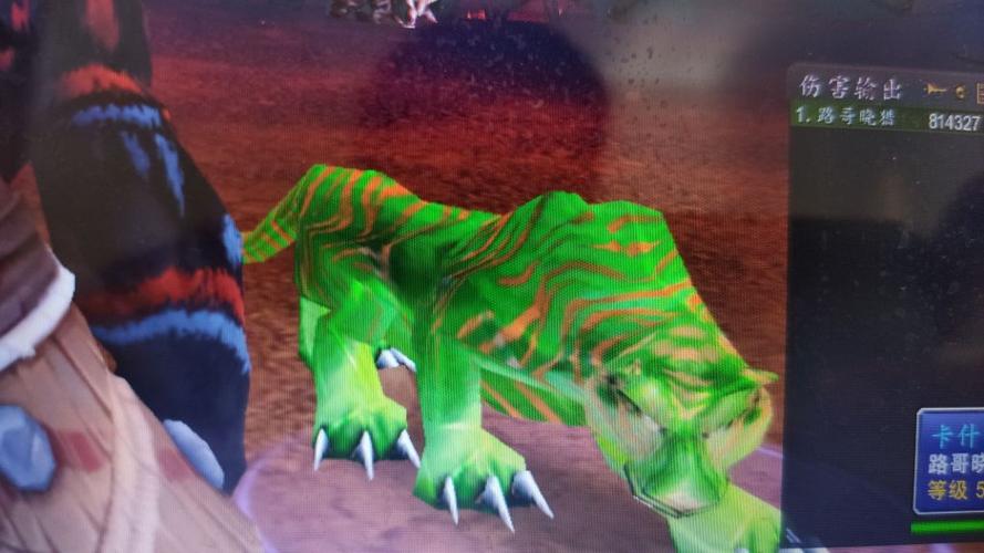 魔兽世界绿色老虎任务攻略,魔兽世界：狩猎绿色老虎指南!
